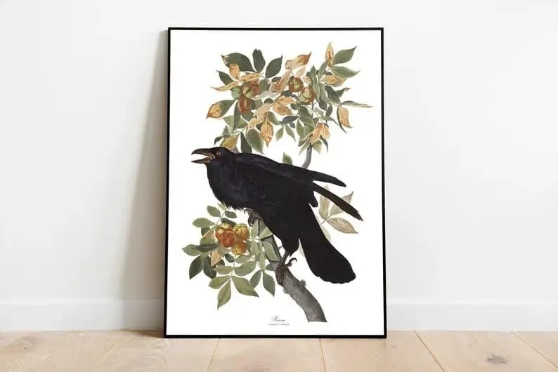 Vintage Bird Art Prints| Bird Poster