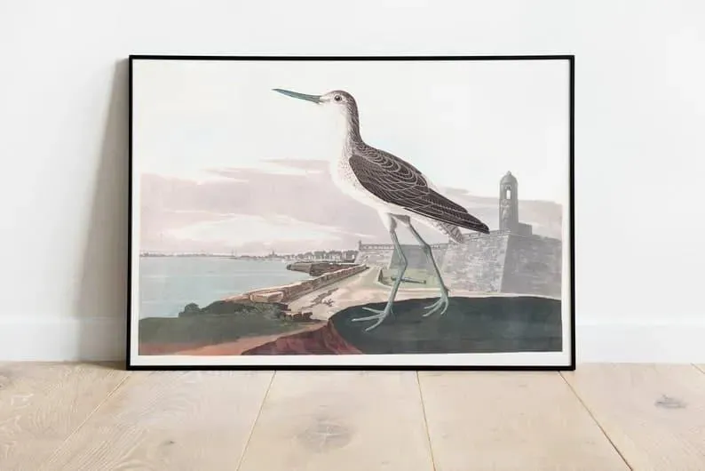 Vintage Bird Art Prints| Bird Poster