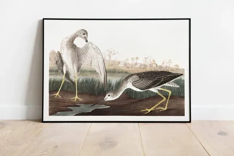 Vintage Bird Art Prints| Bird Poster