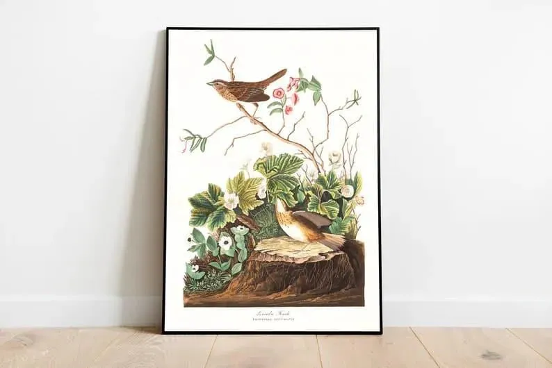 Vintage Bird Art Prints| Bird Poster