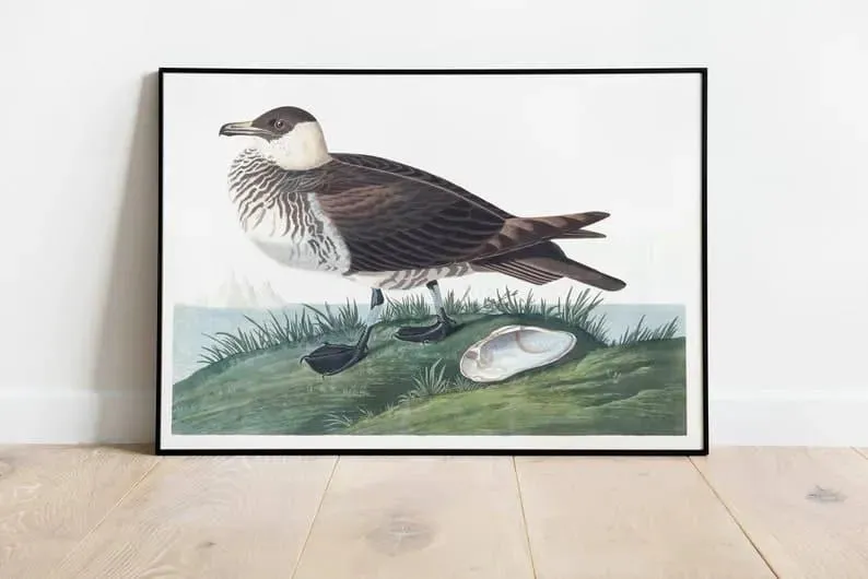 Vintage Bird Art Prints| Bird Poster