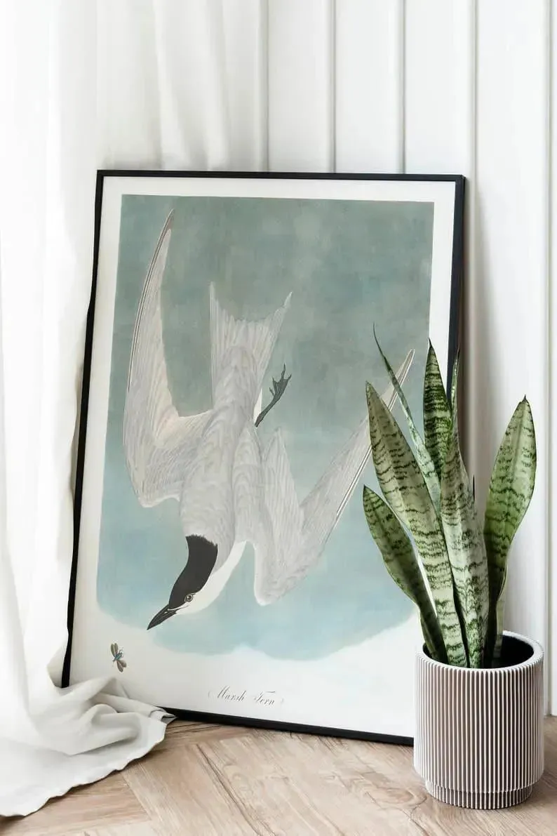 Vintage Bird Art Prints| Bird Poster