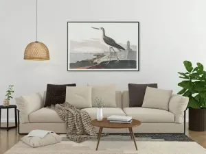 Vintage Bird Art Prints| Bird Poster