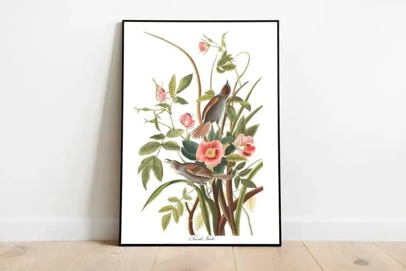 Vintage Bird Art Prints| Bird Poster