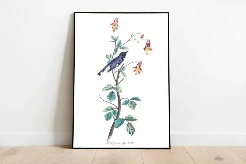 Vintage Bird Art Prints| Bird Poster