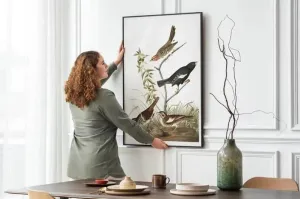 Vintage Bird Art Prints| Bird Poster