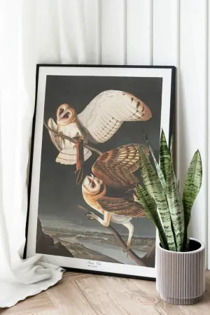 Vintage Bird Art Prints| Bird Poster