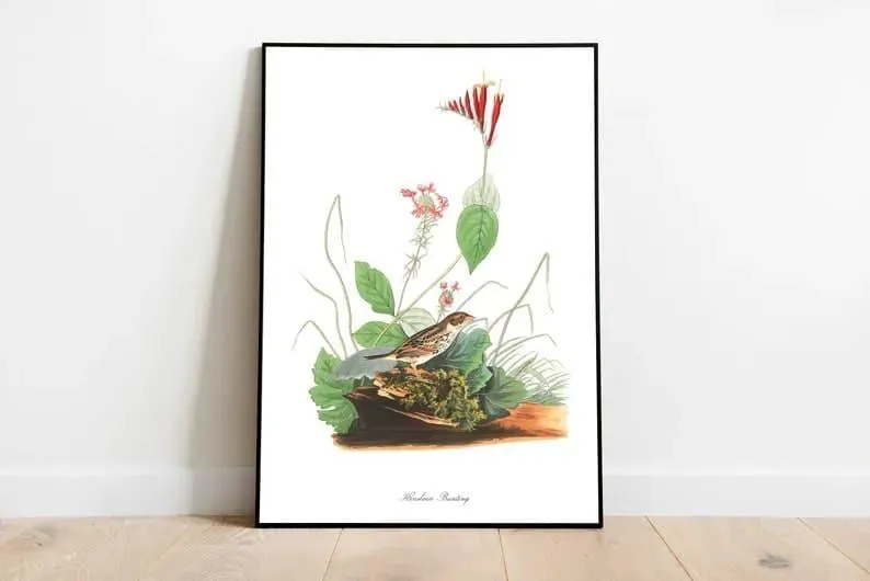Vintage Bird Art Prints| Bird Poster