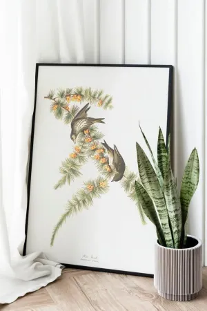Vintage Bird Art Prints| Bird Poster