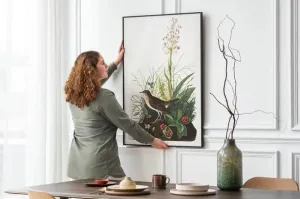 Vintage Bird Art Prints| Bird Poster
