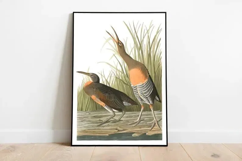 Vintage Bird Art Prints| Bird Poster