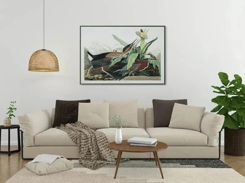 Vintage Bird Art Prints| Bird Poster