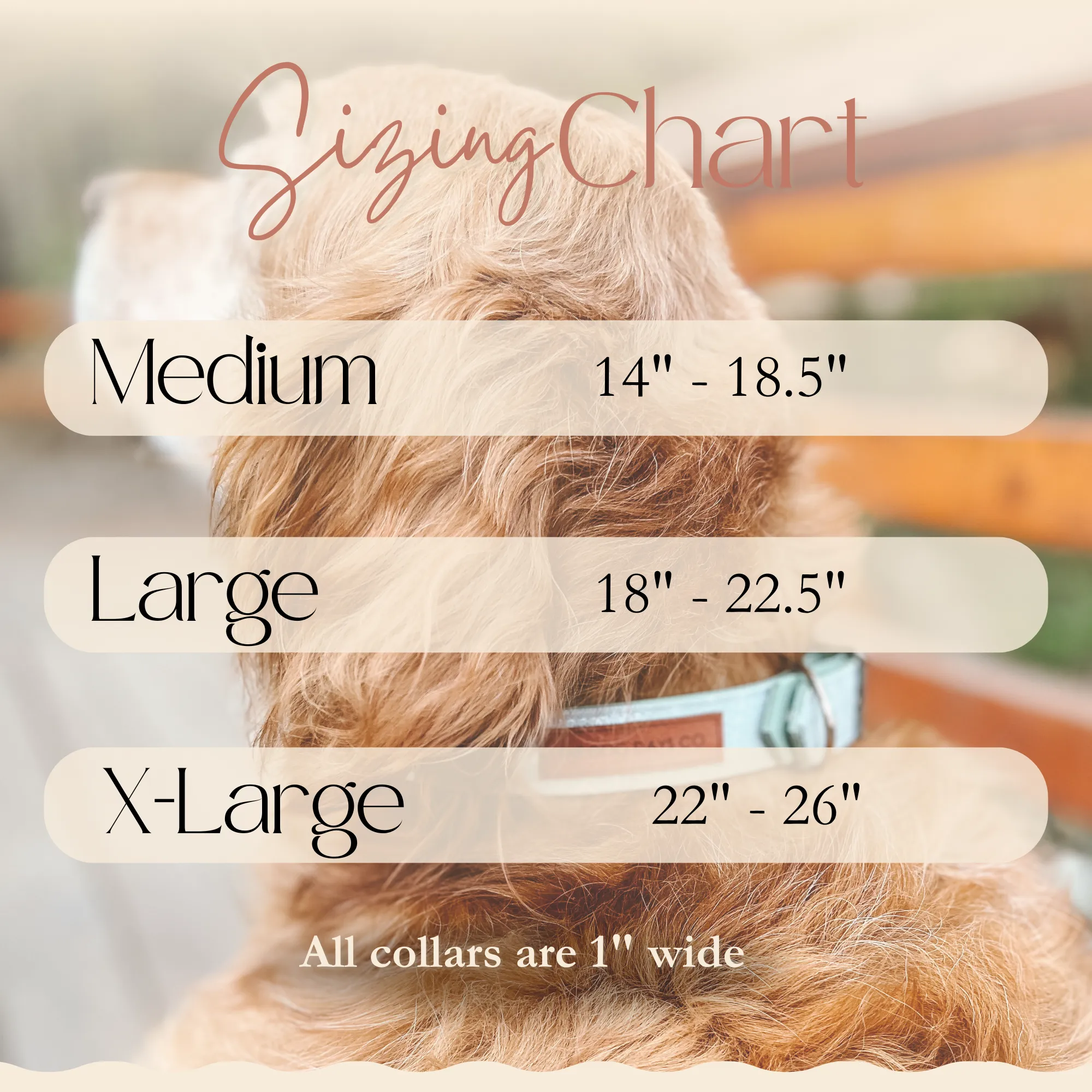 Vintage Blue EcoPup Collar