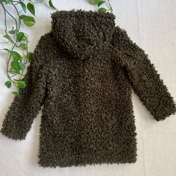 Zara Olive Green Faux Curly Lamb Plush Hooded Teddy Coat XS