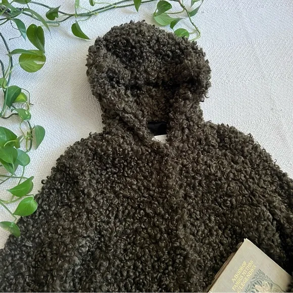 Zara Olive Green Faux Curly Lamb Plush Hooded Teddy Coat XS