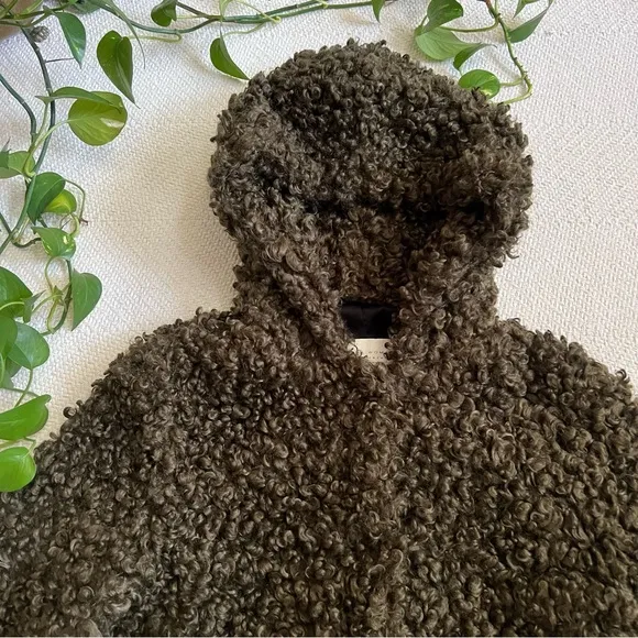 Zara Olive Green Faux Curly Lamb Plush Hooded Teddy Coat XS